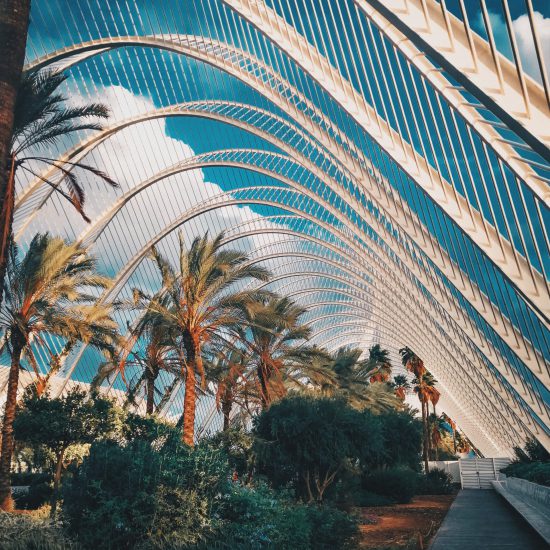 L'Umbracle